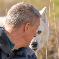 Peter Bergen Henegouwen