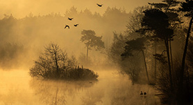 Landschapsfoto bewerken