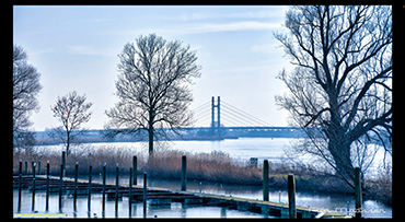 De foto van Ron Maassen