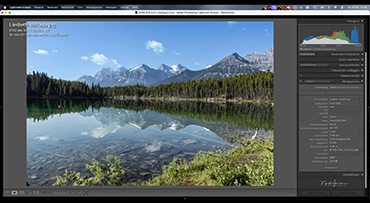 De foto van Liesbeth Verkade