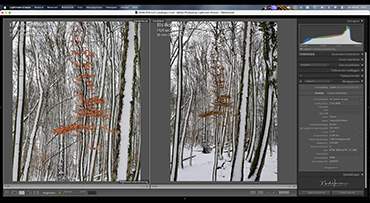 De foto van Els Bonhof