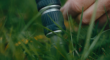 Dunne of dikke poten eerst