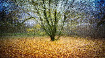 Meervoudige belichtingen