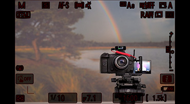 Sterrenlicht en warme kleuren