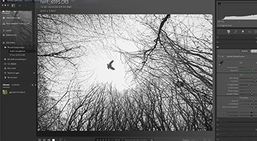 Foto's uit lightroom