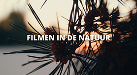 Het resultaat