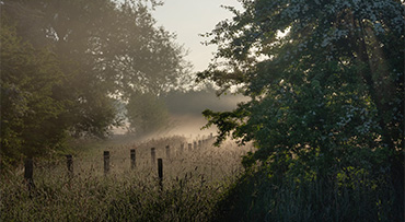 Helderheidsmaskers in Lightroom Classic