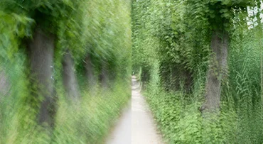 ICM of multi-exposure