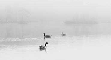 Een high-key fotobewerking in Lightroom Classic