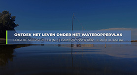 Onderwaterfotografie