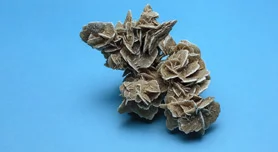 Photoshop voor Fotografen