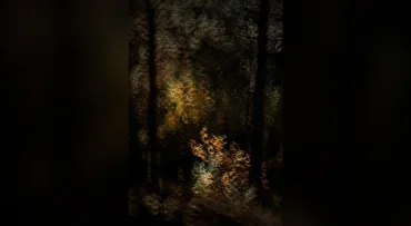 Schilderen met licht