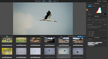 Starten met DXO PhotoLab