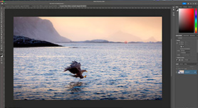 Starten met Photoshop