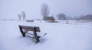 Fotograferen in de sneeuw
