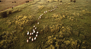 Toegankelijk vliegen met de DJI Neo drone