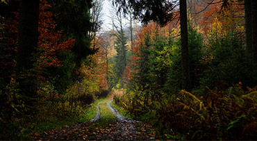 Herfstfotografie