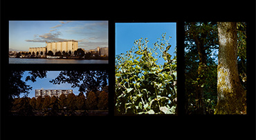 Van Korrel naar Pixels